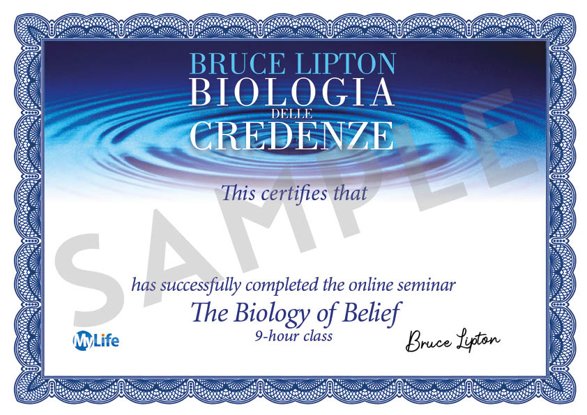 Certificato1