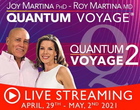 Quantum Voyage 2 - Streaming