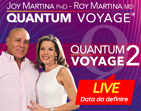 Quantum Voyage